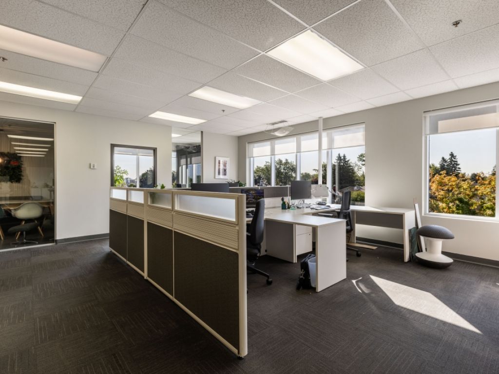 Professional and very bright office