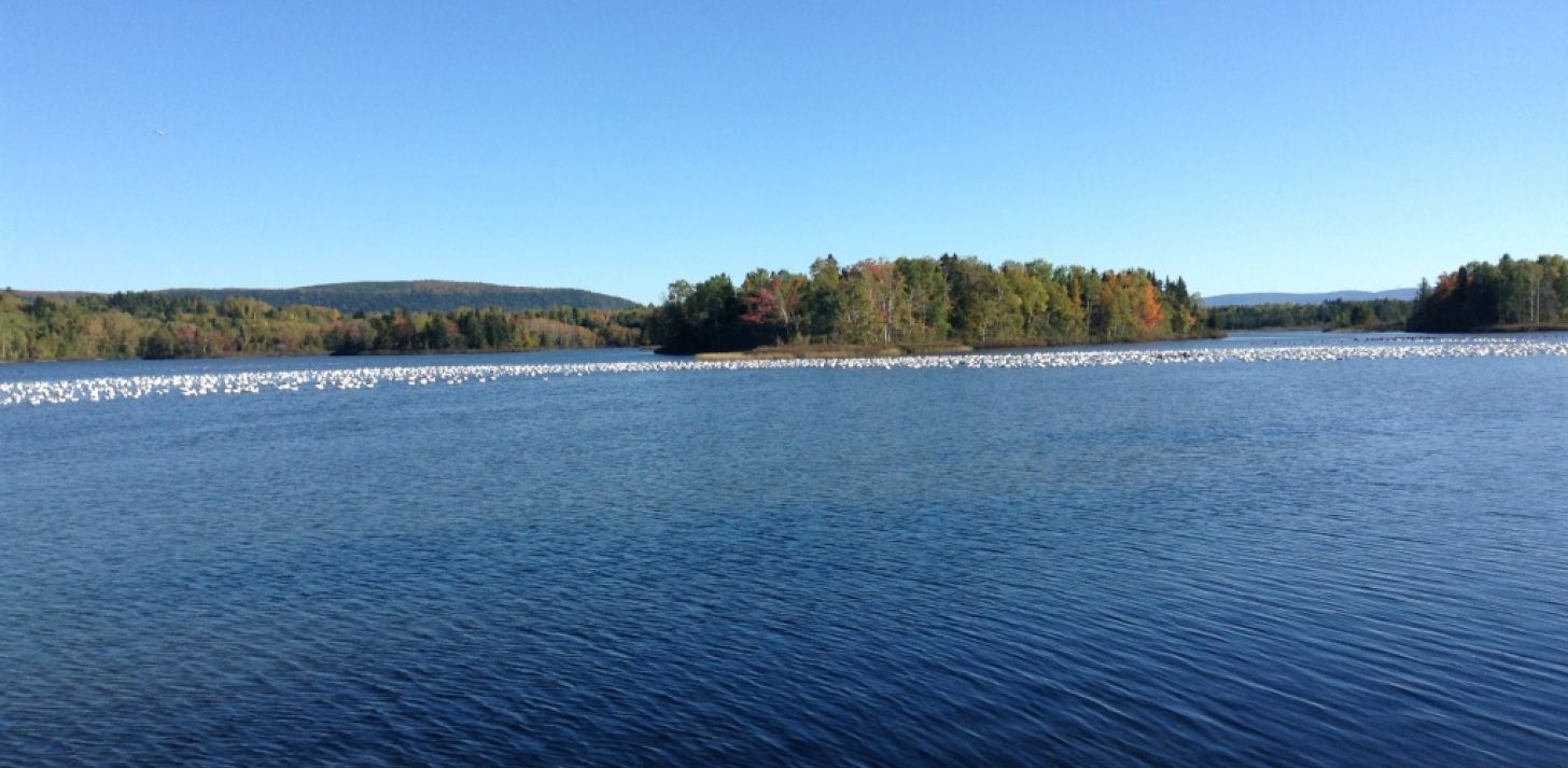 Campground, Outdoor Base & Resort for Sale in Gaspesie - For Sale