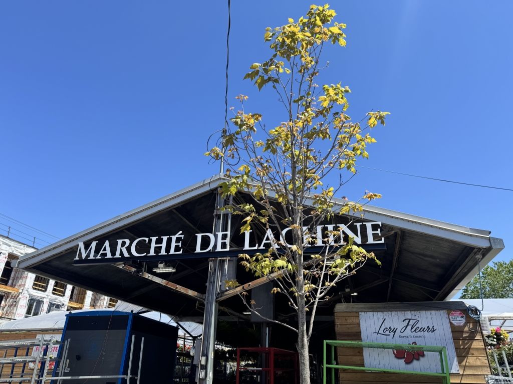 BRand-new commercial space for rent facing Lachine Market