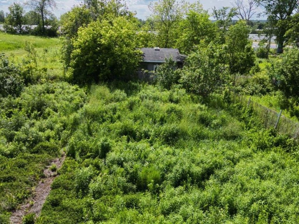 Terrain agricole 9000 pc � louer Laval (Auteuil)