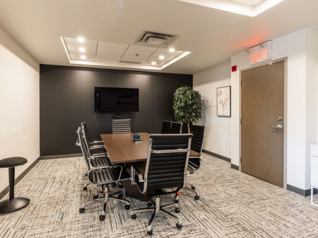 Professional and very bright office