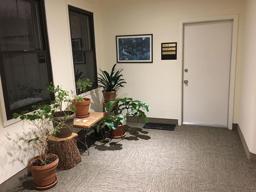 Bureaux pour professionnels � louer � Ahuntsic