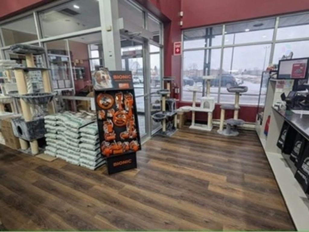 PITOU MINOU ET COMPAGNONS Franchise for Sale
