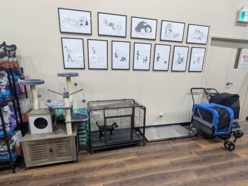 PITOU MINOU ET COMPAGNONS Franchise for Sale