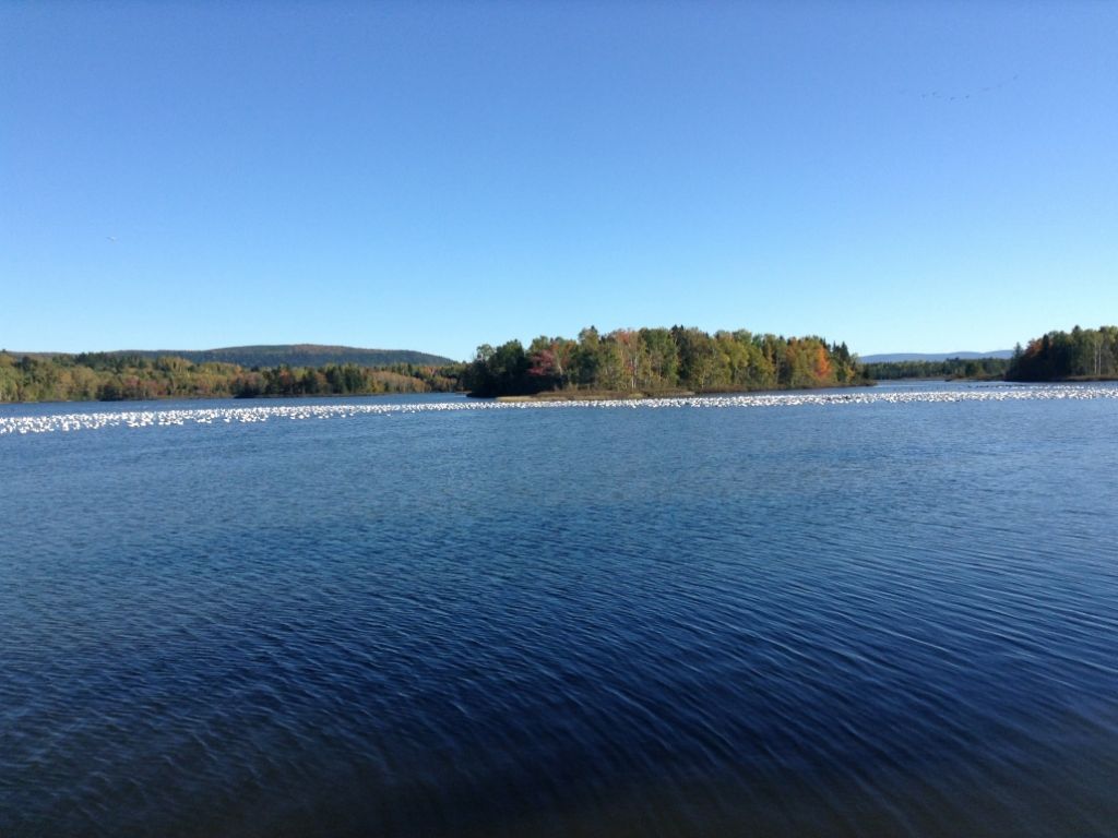 Campground, Outdoor Base & Resort for Sale in Gaspesie