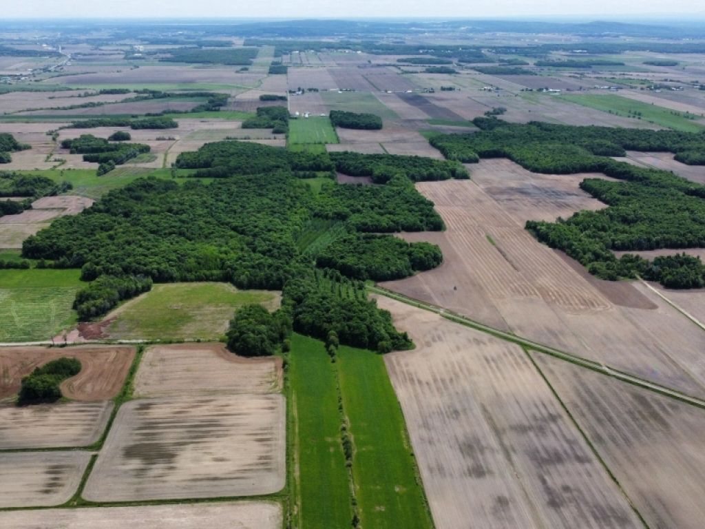Terre agricole de 67 acres � vendre � Mirabel