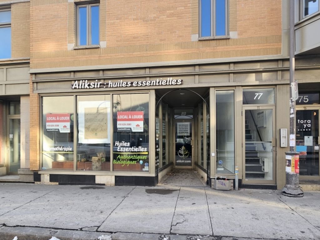 LOCAL COMMERCIAL ST-JOSEPH EST QUBEC