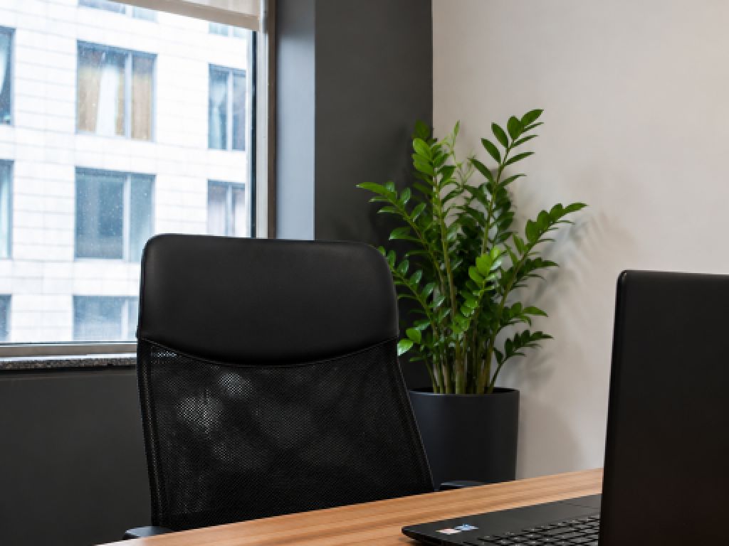 Bureaux professionnels � sous-louer � Vieux-Montr�al