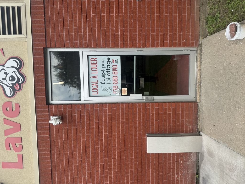 Local �quip� pour toilettage