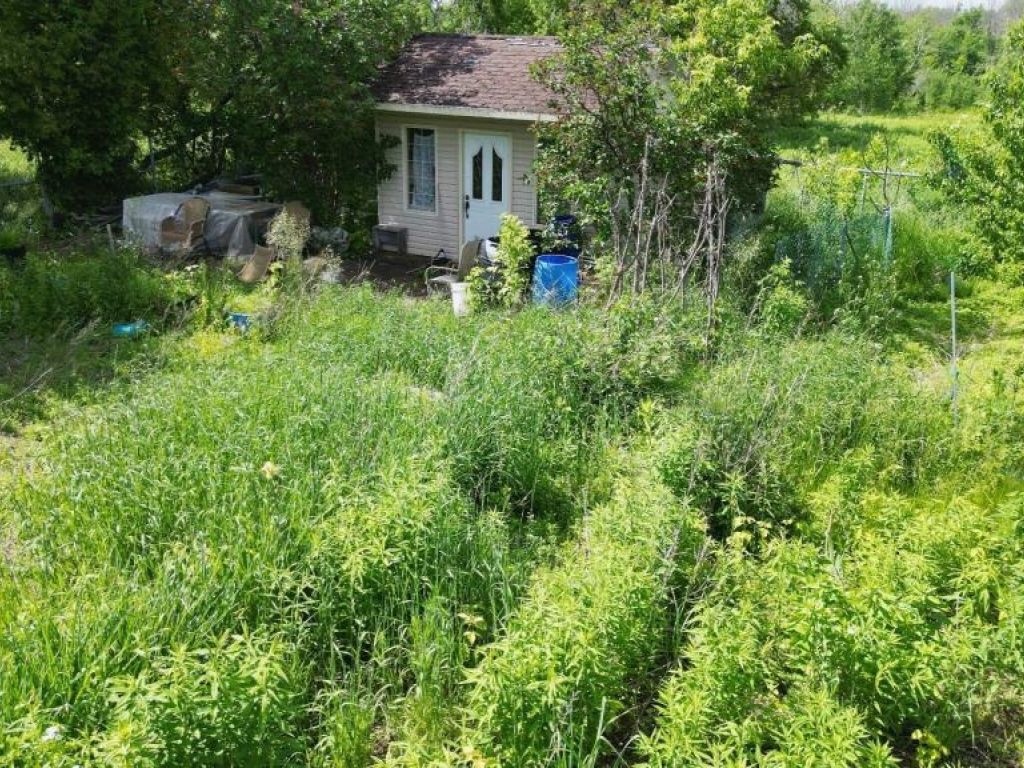 Terrain agricole 9000 pc � louer Laval (Auteuil)