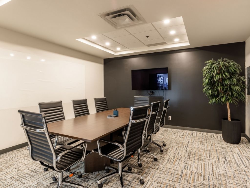 Professional and very bright office